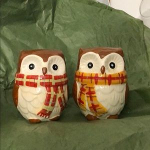 Pier 1 Owl Salt and Pepper Shakers
